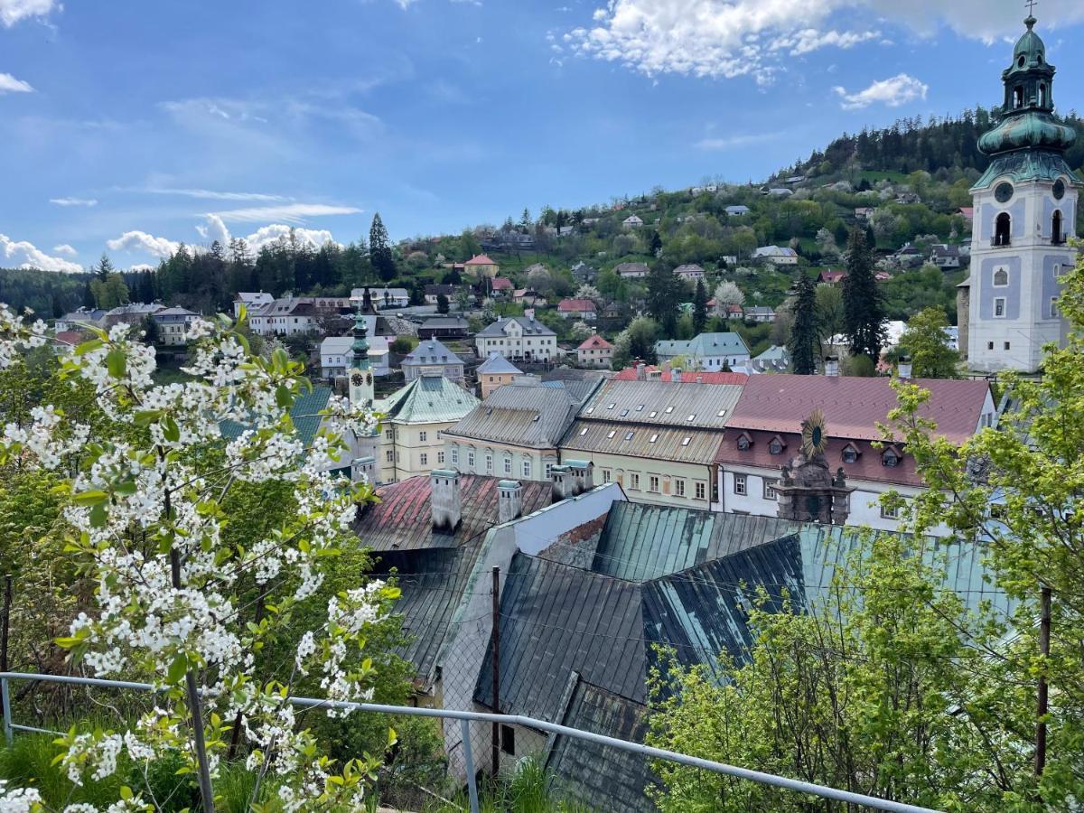 Cyprian Apartment Banská Štiavnica 외부 사진